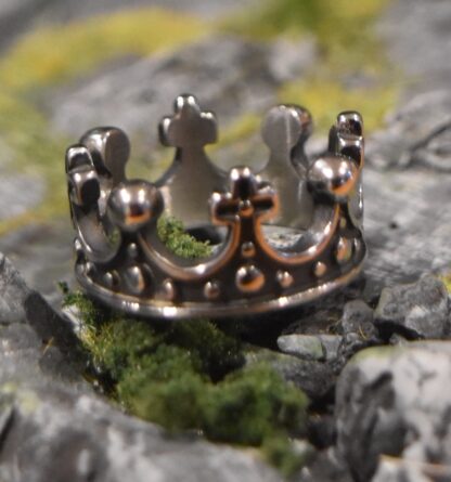 Knight of the Crown Ring