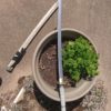 Snake Sword - Image 2