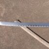 Snake Sword