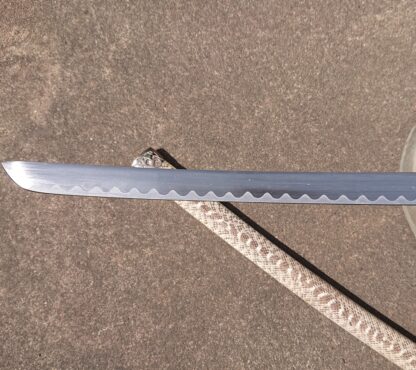 Snake Sword