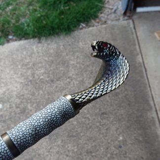 Snake Sword