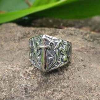 Knight Of the Sword Ring