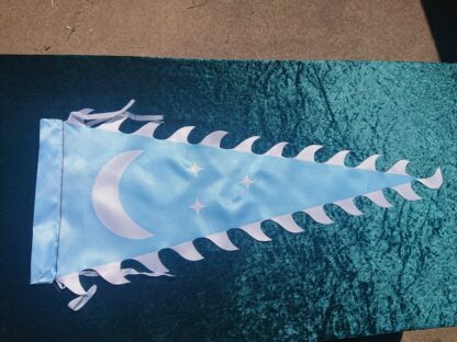 Blue Larp Banner