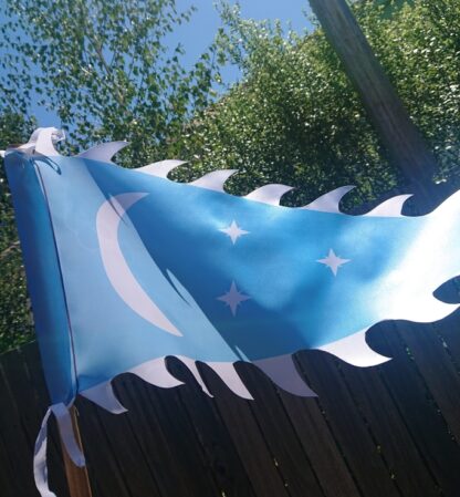 Blue War Banner