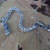 Dragon Bracelet