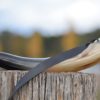 War Horn