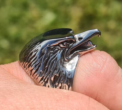 Raven Ring