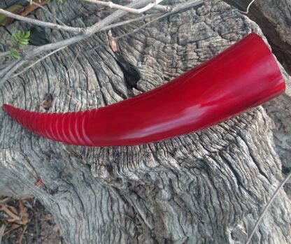 Red grooved Drinking Horn