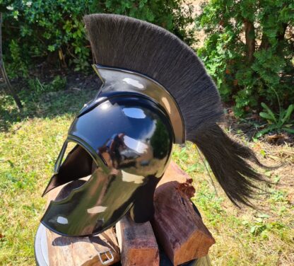 Trojan Helmet with Crest