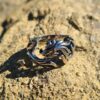 Fire Dragon Ring