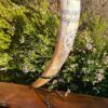 Vegisvir Compass Drinking Horn