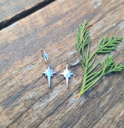 Silvanost star earrings