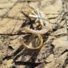 Moon and Stars Ear-cuff