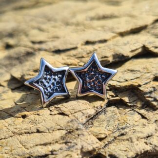 Star Earrings