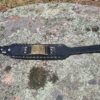 Brass Compass