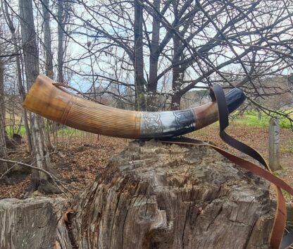 Viking Carved War Horn