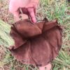 Belt Pouch